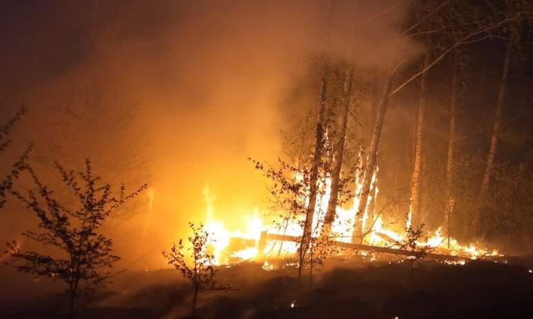 Фото Шесть лесных пожаров произошло в Челябинской области девятого мая, за неделю - 90