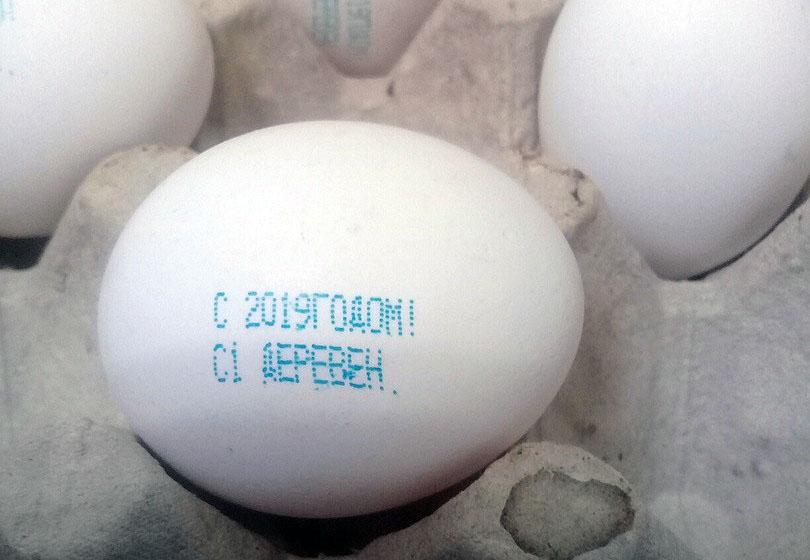 Фото Жителей Магнитогорска с Новым годом поздравляют куриные яйца