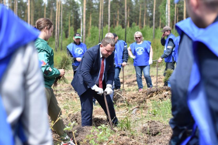 Фото ЧМК и экологи восстанавливают леса вокруг Челябинска