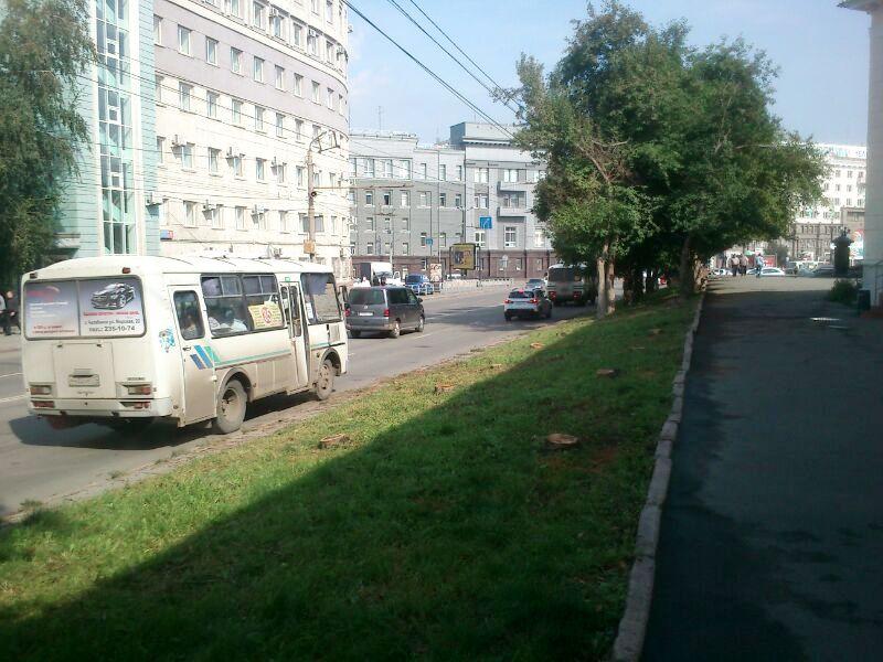 Фото В Челябинске перестали белить деревья - Елистратов обещал разобраться