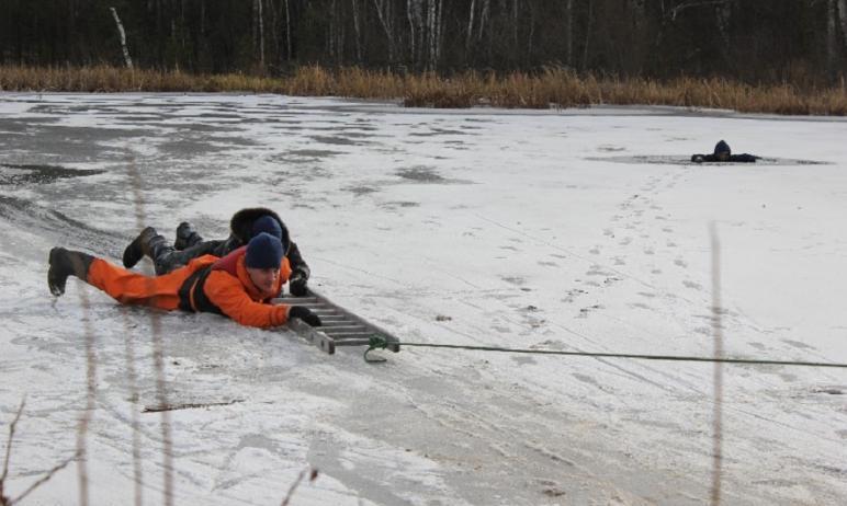 Фото На Смолино рыбаки провалились под лед