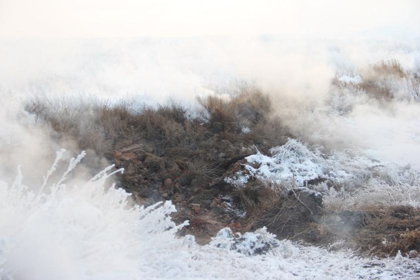 Фото В марте многострадальное Курочкино забудет о пожарах, люди начнут дышать