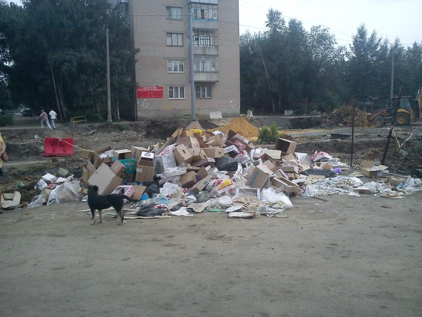 Фото Челябинцам пообещали еженедельное мытье контейнеров и исчезновение свалок