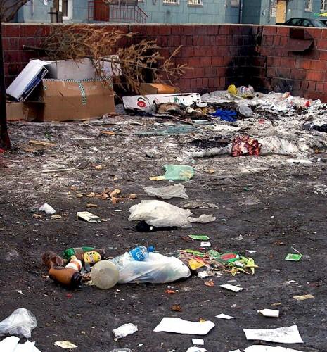 Фото В Челябинской области 35% жилого фонда не обеспечено контейнерами для сбора мусора
