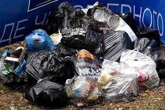 Фото Челябинские депутаты решают мусорный вопрос