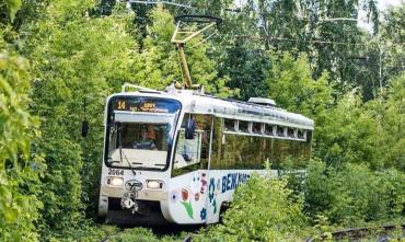 Фото Четыре трамвая в Челябинске временно изменят маршруты из-за обрезки деревьев