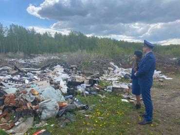 Фото Свалкой на границе Челябинска и Сосновского района занялись прокуроры обеих территорий