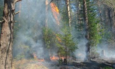 Фото В Челябинской области с 14 ноября завершен пожароопасный сезон 2022 года