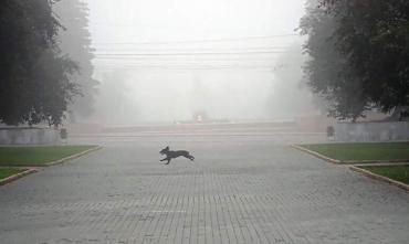 Фото Ряд районов Челябинской области накрыл густой туман