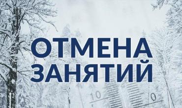 Фото В Челябинске из-за снегопада отменили занятия в школах во вторую смену