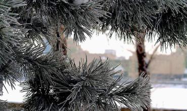 Фото Новогодняя ночь в Челябинской области будет морозной
