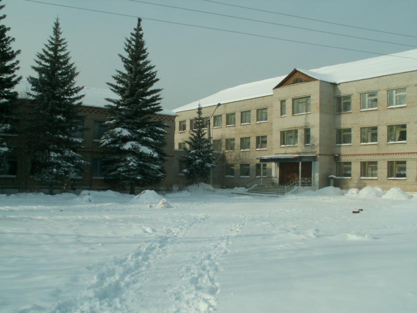 Фото Сосновский и Еткульский районы пока сохраняют карантин в школах