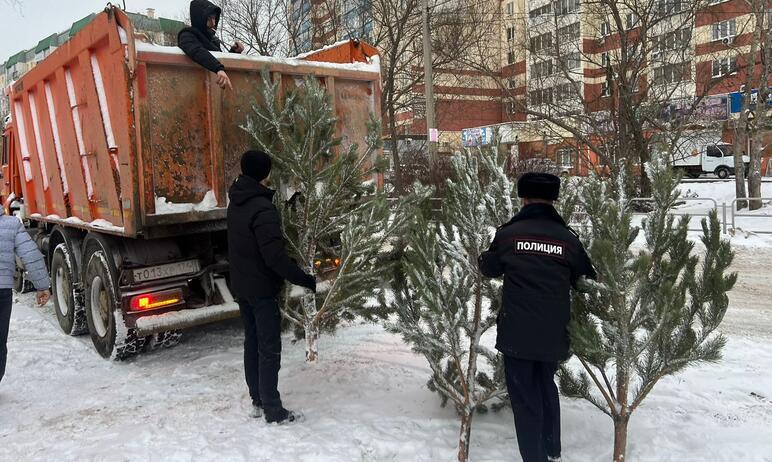 Фото Челябинские полицейские продолжают проверки елочных базаров