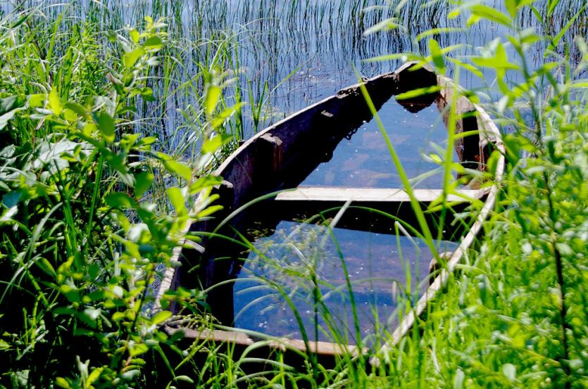 Фото Активисты ОНФ в Челябинской области выявили факты незаконного использования земель у заповедного озера Сугояк