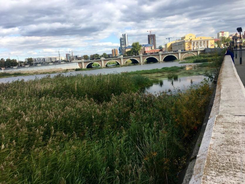Фото На заметку Текслеру. Экологи-общественники – об очистке  реки Миасс, квотах на выбросы и Томинском ГОКе