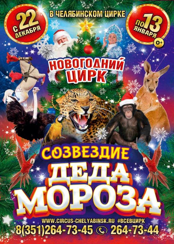 Фото Челябинский цирк откроет путь к «Созвездию Деда Мороза»