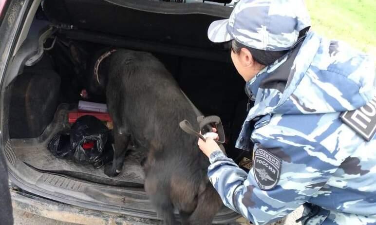 Фото В ходе операции «Канал-Перехват» в Челябинской области выявлено 87 наркопреступлений