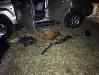 Фото Правоохранитель из Челябинской области погиб в ДТП после браконьерской вылазки