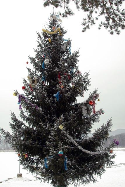 Фото Триста игрушек украсят ели парка Гагарина в Челябинске