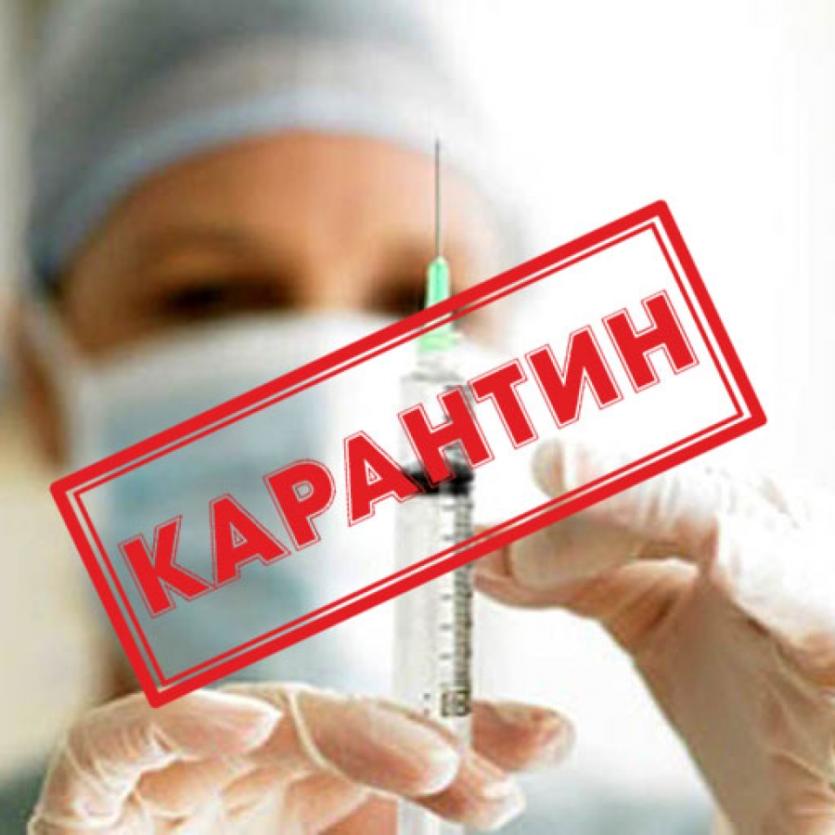 Фото Карантин по ОРВИ и гриппу введен на всей территории Челябинской области 