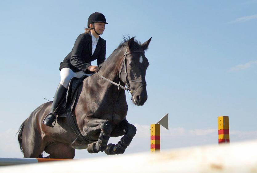Фото Челябинск готовится к десятому Кубку губернатора по конному спорту