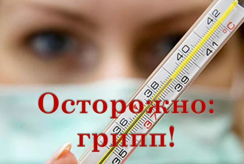 Фото В Челябинской области идет новая волна гриппа и ОРВИ