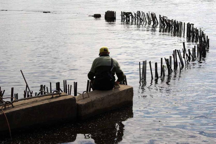 Фото «Горячая линия» для рыбаков в Челябинской области заработала сразу после обращения к президенту
