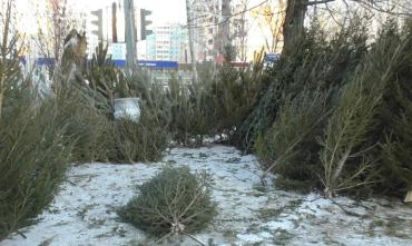 Фото Челябинцев призвали выбрасывать елки на мусорки
