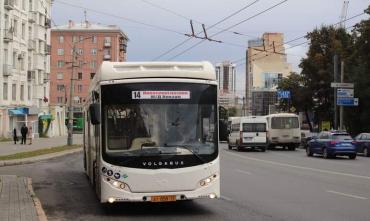 Фото В Челябинске и Копейске названы худшие автобусные маршруты