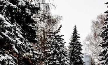 Фото Во вторник в Челябинской области снег и метели