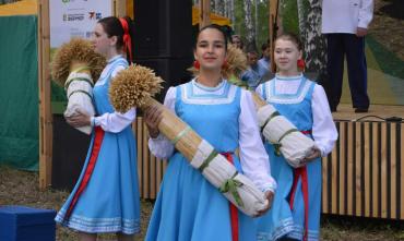 Фото В Челябинской области провели «День поля»