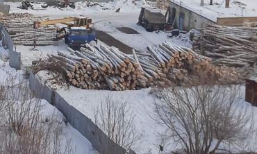 Фото Жители Тугайкуля просят убрать лесопилку подальше от новой школы и их домов