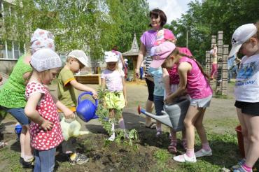 Фото В детском саду № 155 Челябинска появился маленький сквер
