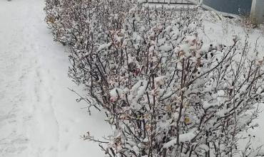 Фото Снегопад накрыл практически всю территорию Челябинской области