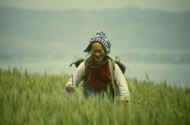 Фото На НТВ покажут правду о жизни китайских овощеводов в Челябинской области