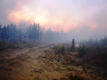 Фото В Юрюзани нечем дышать: уже три дня горит городская свалка